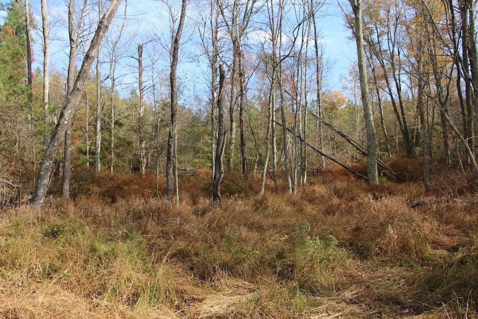 0 Easter Ridge Ln unit LotWP007 23743103, Gainesboro, VA 22603 - photo 1