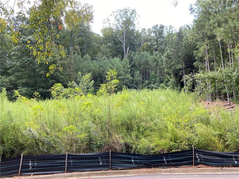 1540 Mountain Shadow Trail, Stone Mountain, GA 30087 - photo 1