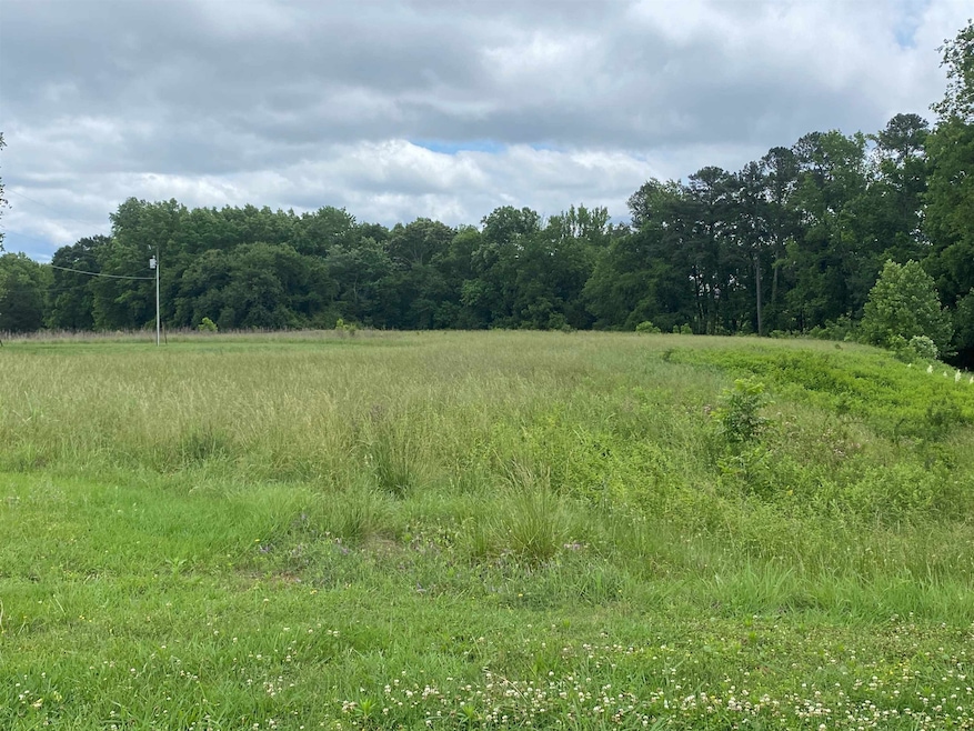 0 Us 15 501 Hwy unit 2451067, Pittsboro, NC 27312 - photo 1