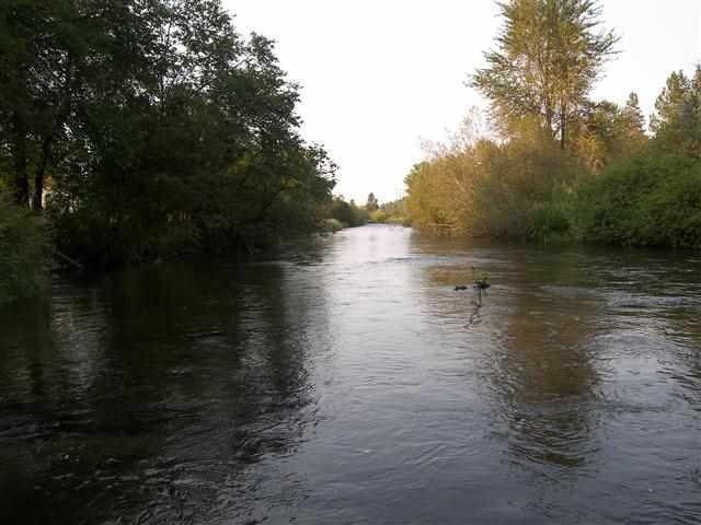 177XX N Little Spokane Dr, Colbert, WA 99005 - photo 1