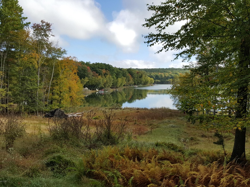 196 Fawn Lake Dr, Lackawaxen Township, PA 18428 - photo 1