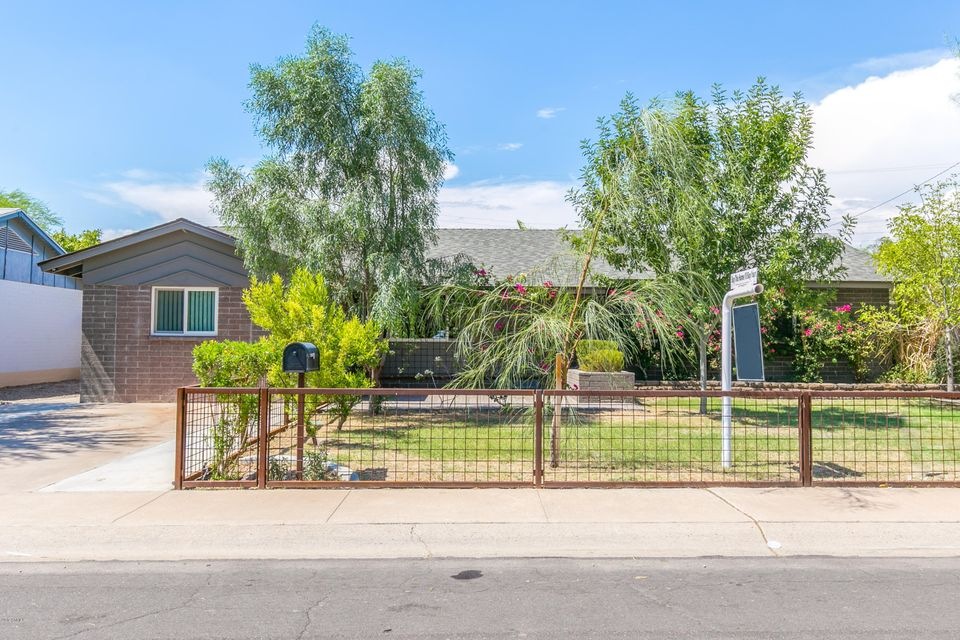 Sciacca 8348 Cypress-32