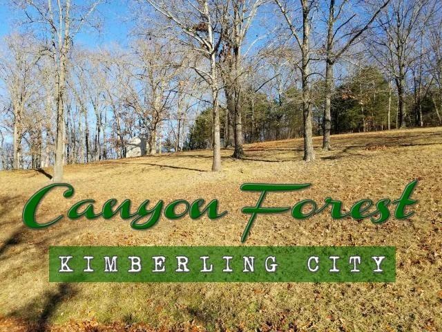 47 Canyon Forest Cir, Kimberling City, MO 65686 - photo 1