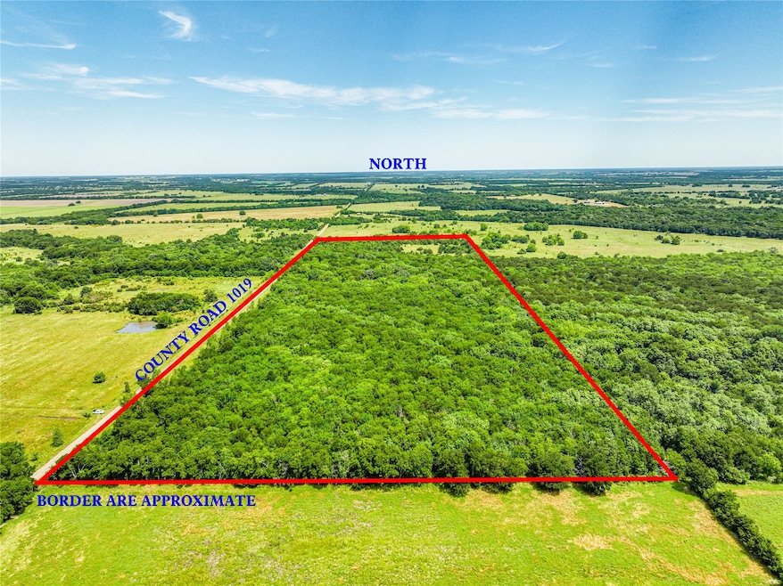 0000 County Road 1019, Celeste, TX 75423 - photo 1