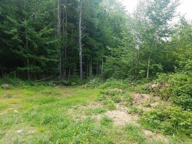 23 acres to enjoy.