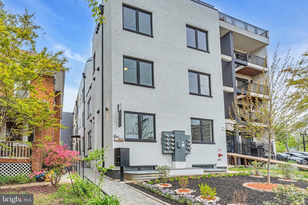 1103 Fern St NW unit 201, Washington, DC 20012 - photo 1