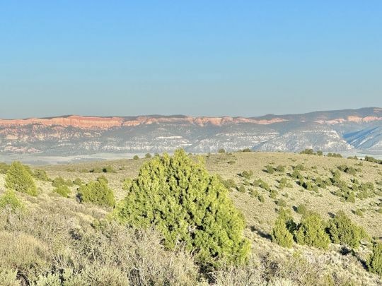 Pink Cliffs View
