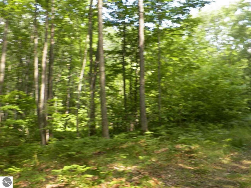 NA Canton Trail, West Branch, MI 48661 - photo 1