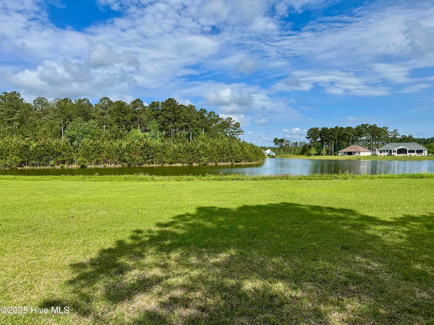 4042 Reunion Pointe Ln, New Bern, NC 28562 - photo 1