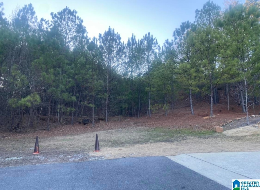 495 Scenic View Ln unit 15A, Birmingham, AL 35244 - photo 1