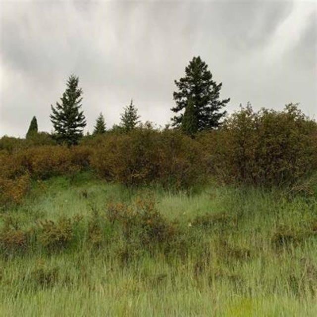 For Sale $121,000