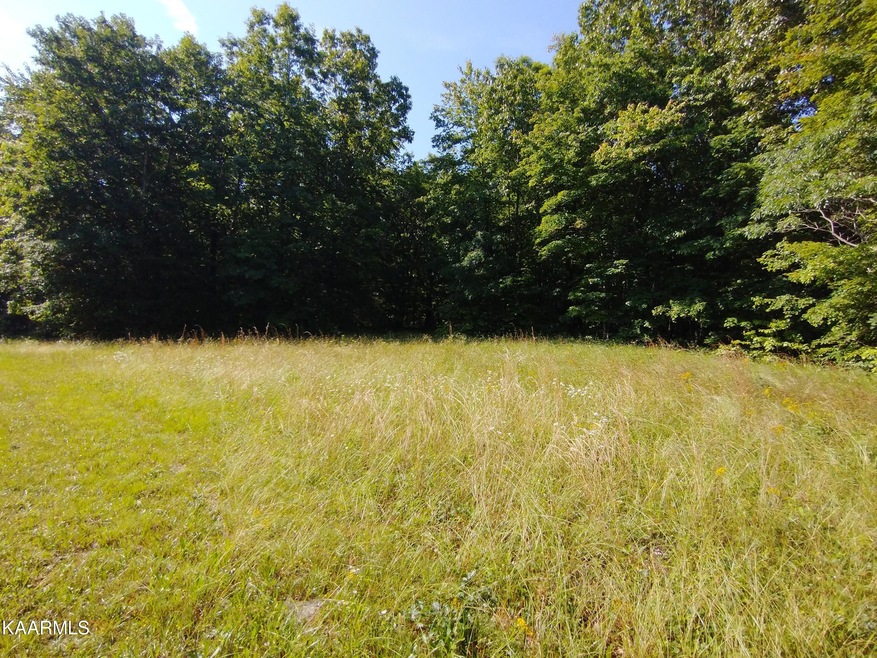 Lot 6a