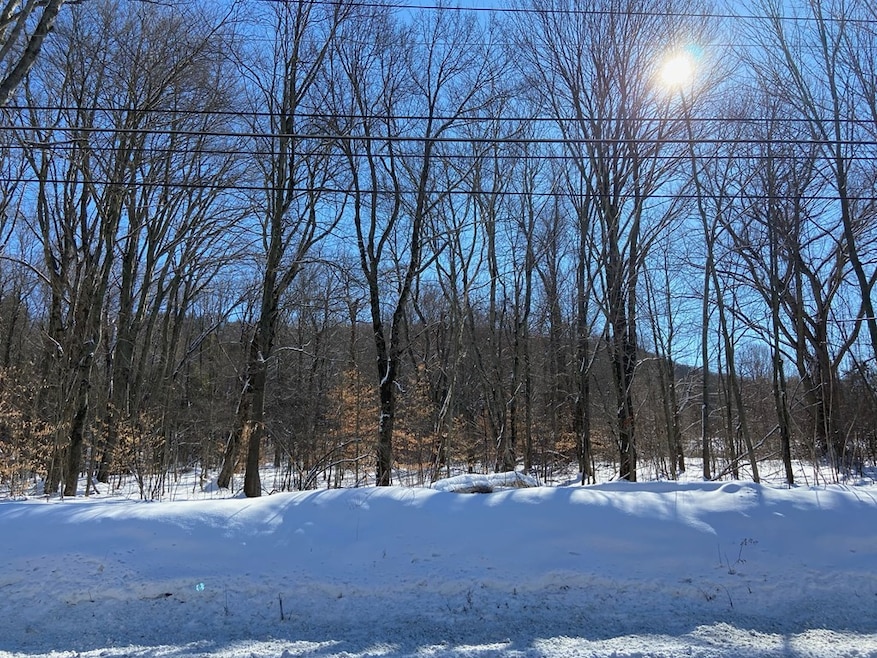 0 Hockanum Rd, Hadley, MA 01035 - photo 1