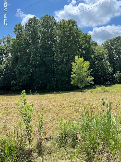 127 Parker Cove, Byhalia, MS 38611 - photo 1