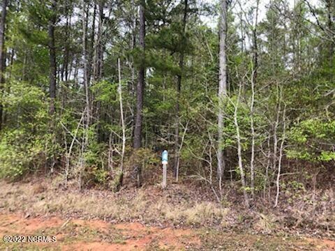 Riverhills Trail Pic