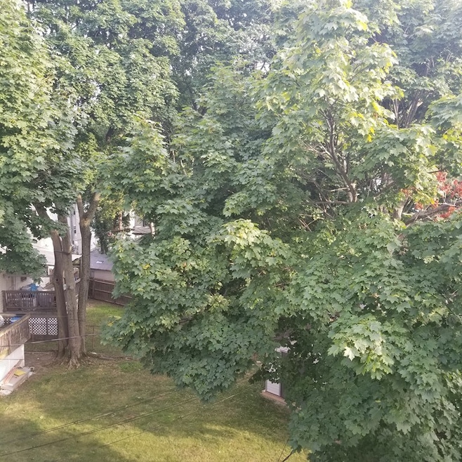 32 Aspinwall Rd unit 2, Dorchester Center, MA 02124 - photo 1