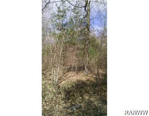 0 Bass Ave N, Webster, WI 54893 - photo 1