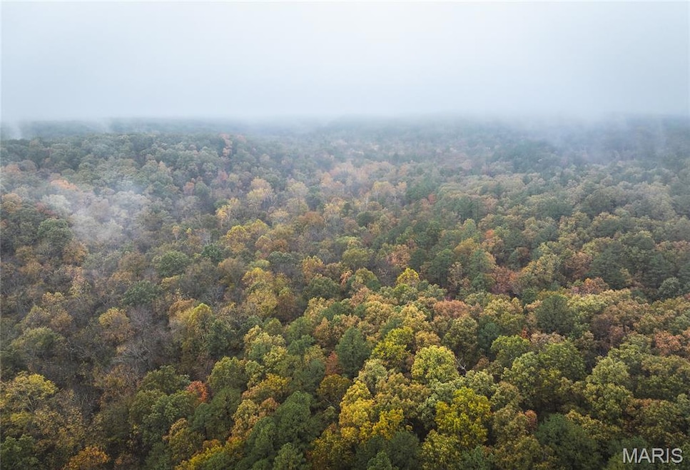 2 Lodge Rd, Bourbon, MO 65441 - photo 1