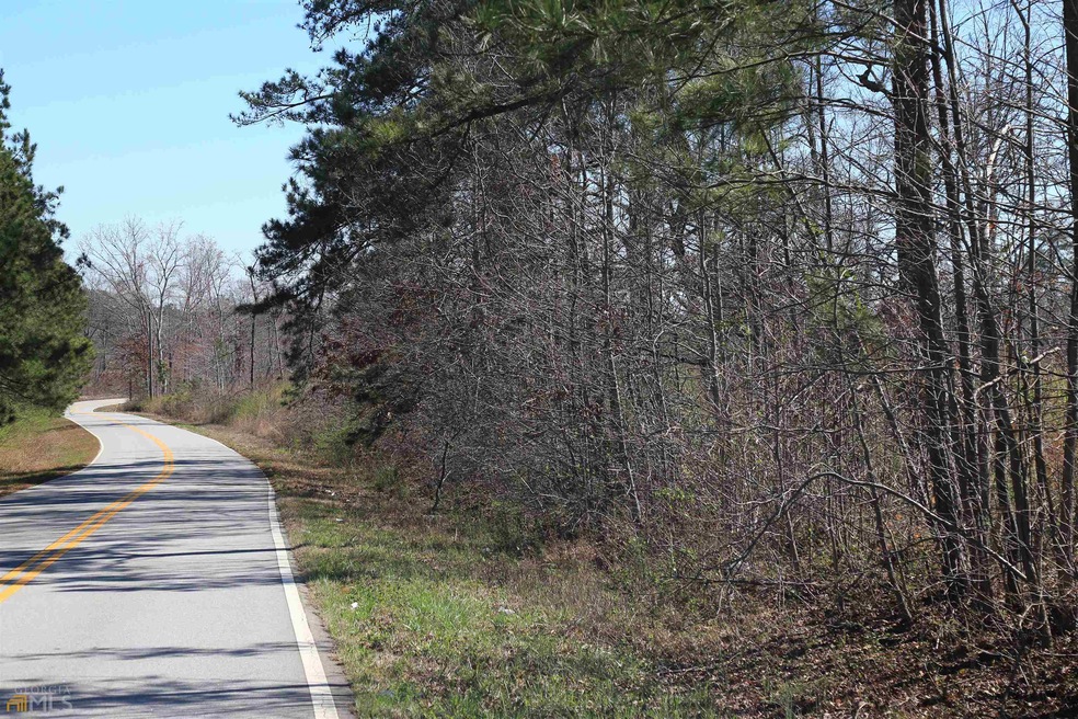 10 Old Driver Rd, Whitesburg, GA 30185 - photo 1