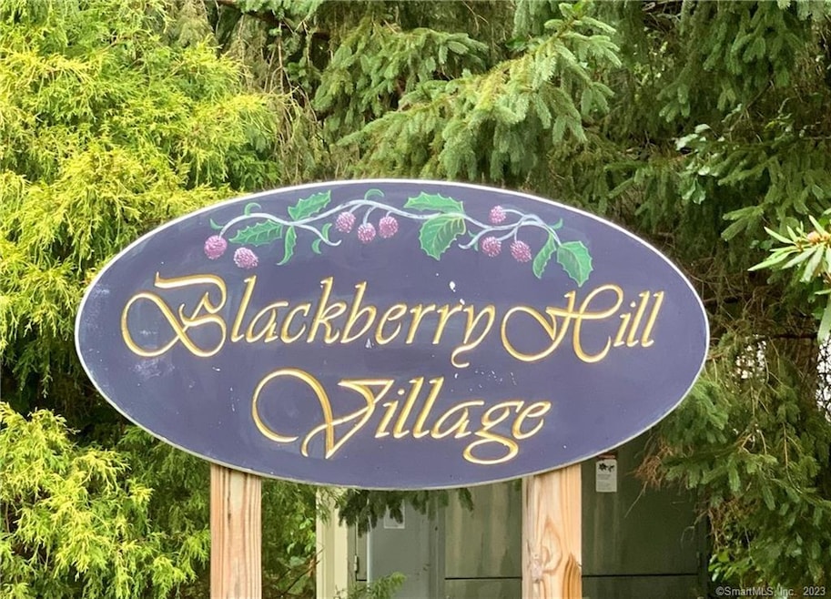 3202 Village Dr unit 3202, Brewster, NY 10509 - photo 1