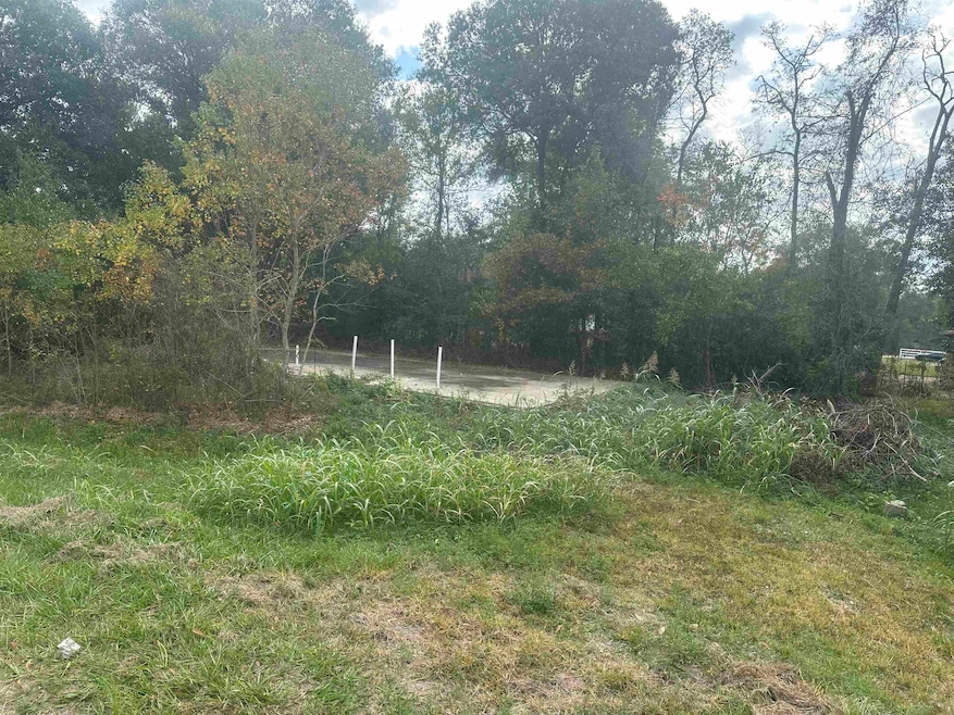 0 Landon Rd, Orange, TX 77632 - photo 1