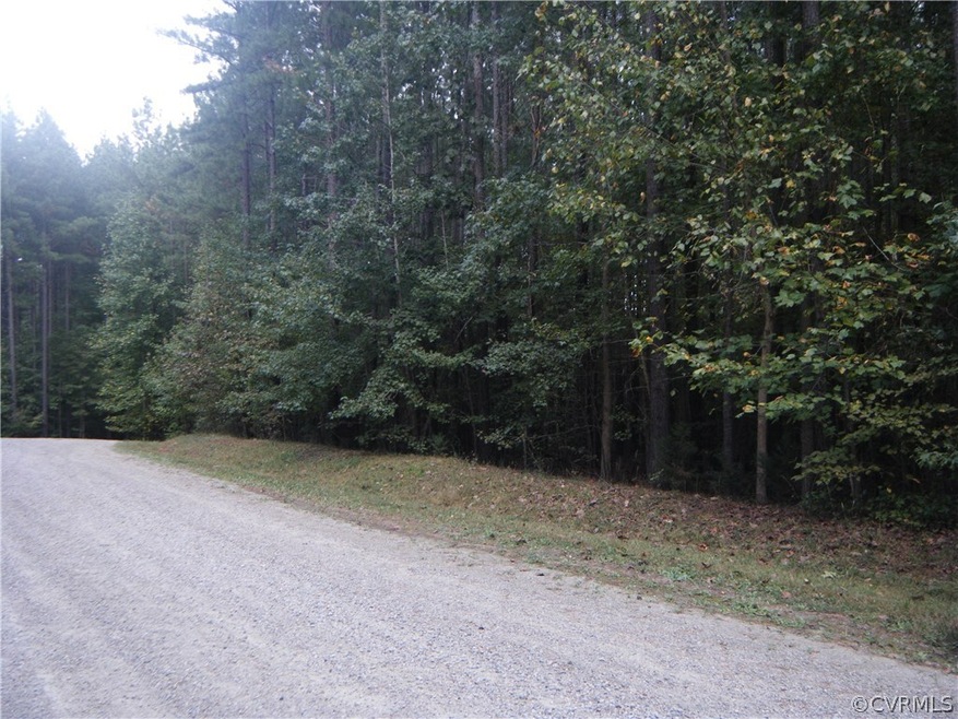 5757 Moore Creek Rd, Powhatan, VA 23139 - photo 1