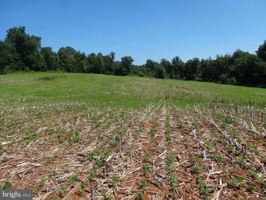 5 Meadow View Ln, Rixeyville, VA 22737 - photo 1