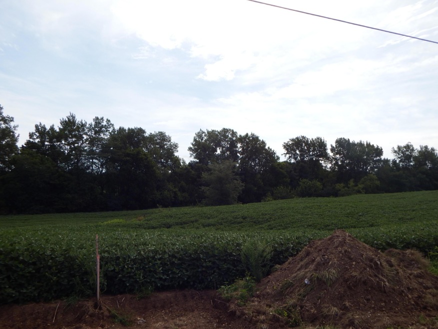 0 Ohio 104 unit Lot 4, Ashville, OH 43103 - photo 1