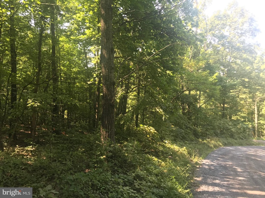 0 Moreland Gap Rd unit 1002350444, New Market, VA 22844 - photo 1