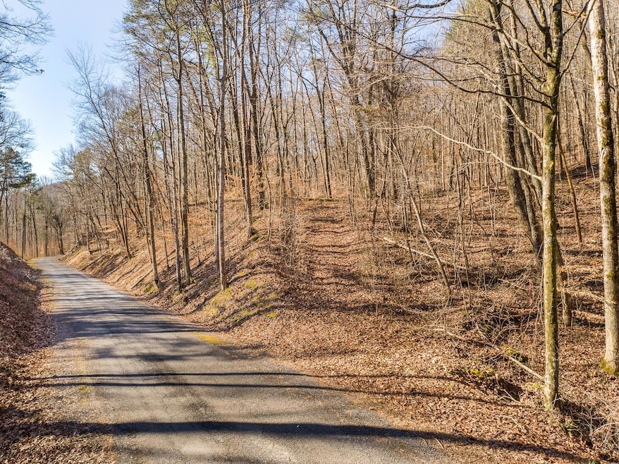 Powder Springs Lot-1
