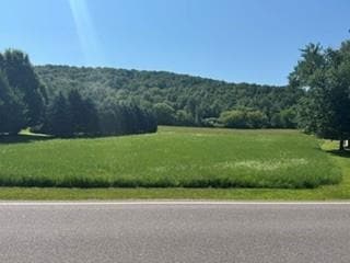 Dale Loomis listing agent - sold for $60,000