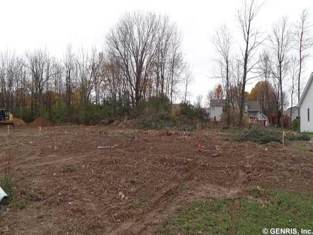 Land/Lot