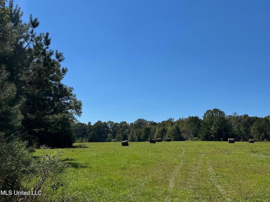 0 Parsons Rd unit 4131662, Terry, MS 39170 - photo 1