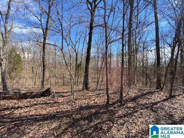 8751 Pine Mountain Rd unit 36 & 37, Pinson, AL 35126 - photo 1