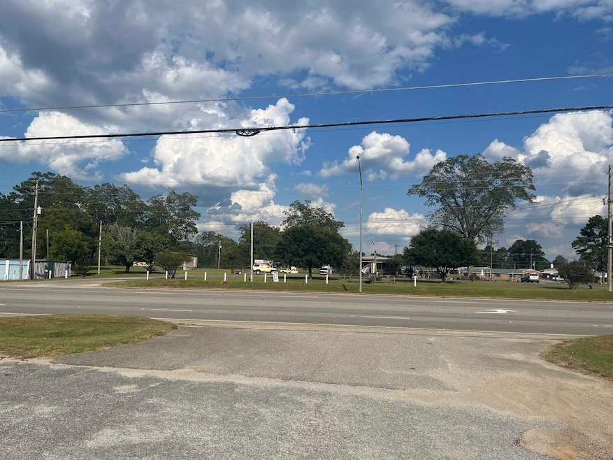 605 Western Bypass, Carolina, AL 36420 - photo 1