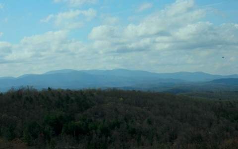 Main View