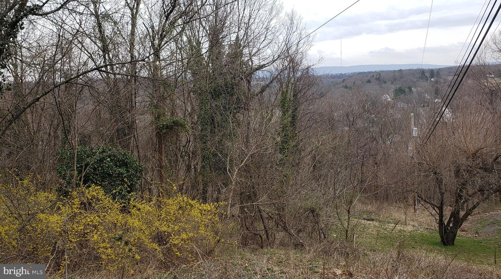 0 Cacapon Rd unit WVMO118222, Berkeley Springs, WV 25411 - photo 1