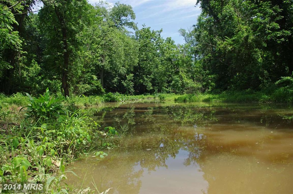 Mill Ln, Earleville, MD 21919 - photo 1