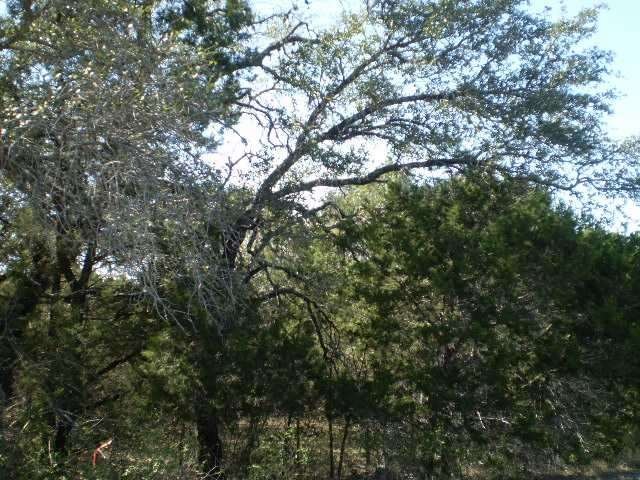 Land/Lot
