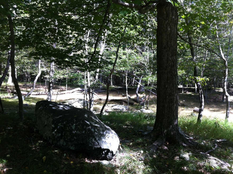 222 Rabbit Ct, Lehman Township, PA 18324 - photo 1