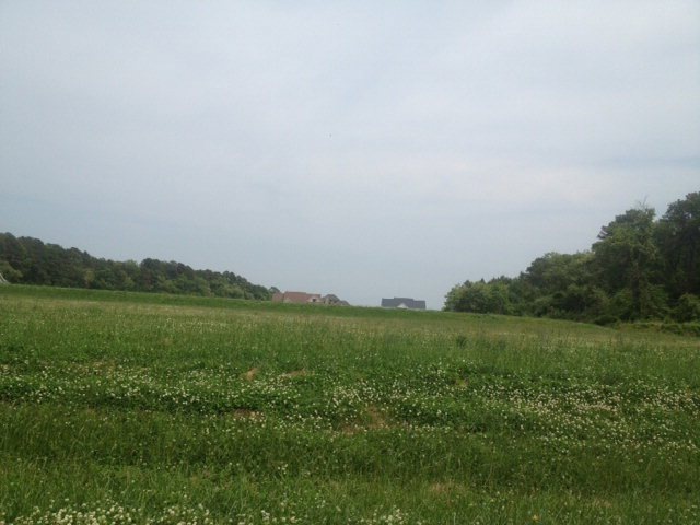 Main View