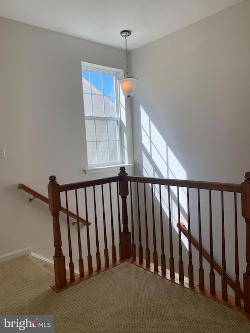 25009 Virginia Pine Ct, Chantilly, VA 20152 - photo 1