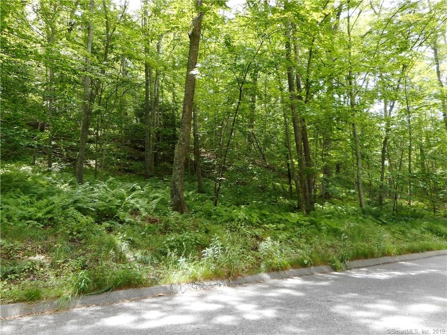 0 Breakneck Hill Rd unit 170097784, Dayville, CT 06241 - photo 1