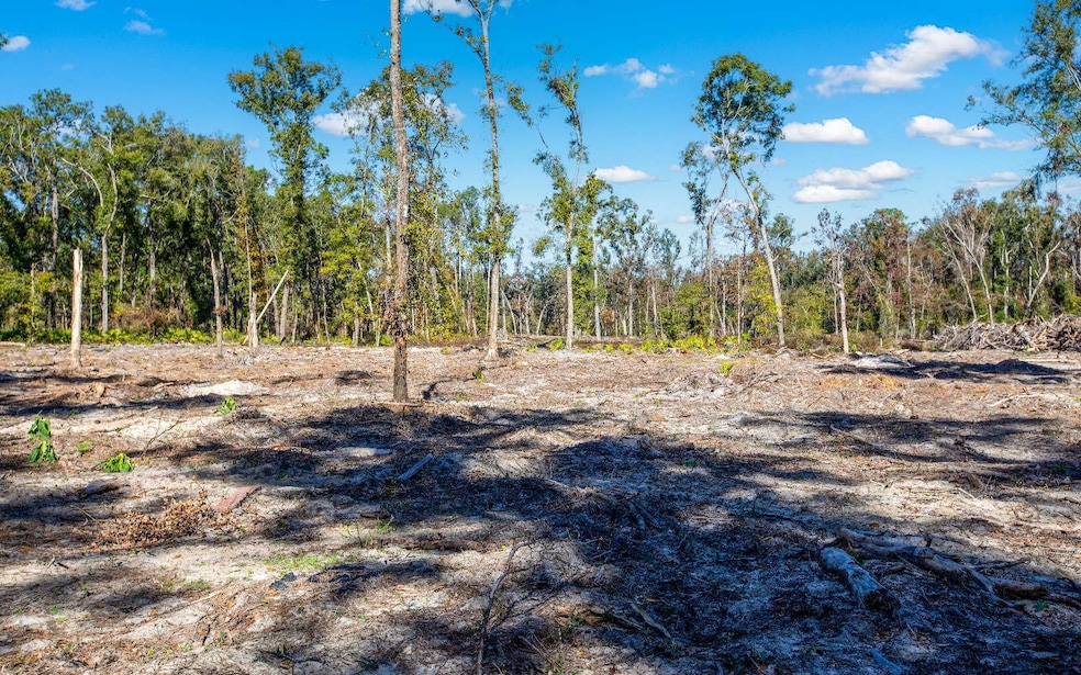 TBD N County Road 349, O'Brien, FL 32071 - photo 1