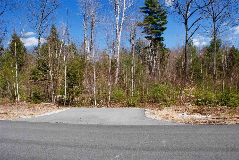 100 Grandview Rd, Conway, NH 03860 - photo 1
