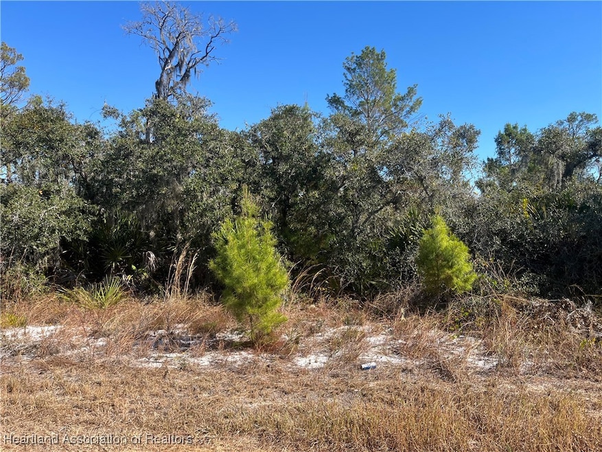 111 Dartmoor Ave, Lake Placid, FL 33852 - photo 1