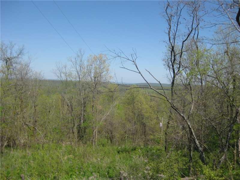 Land. View from the road toward the north. There a