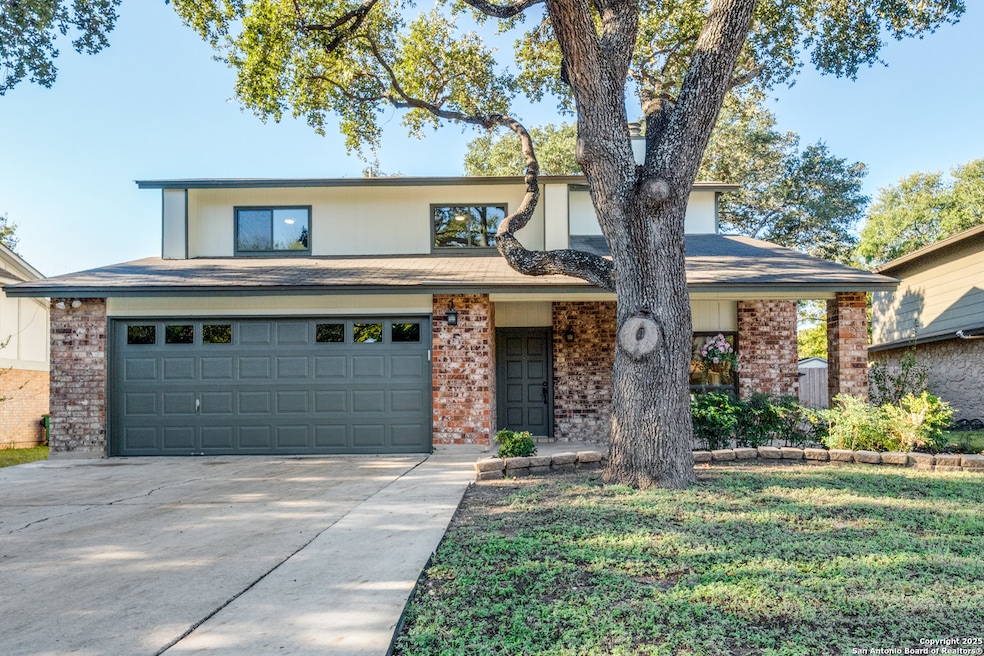 3510 Abrazo, San Antonio, TX 78247 - photo 1