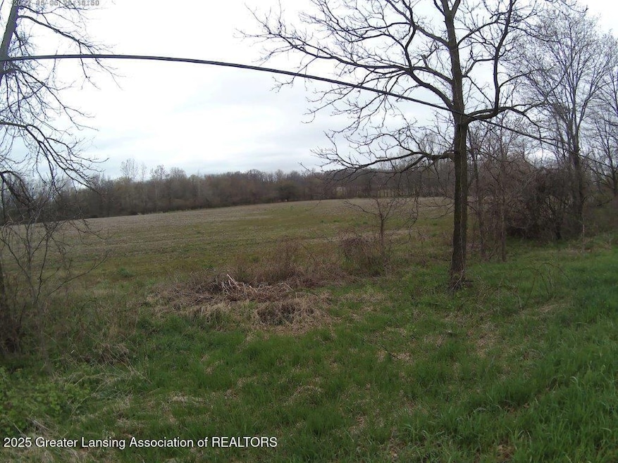 Vl Olds Rd, Leslie, MI 49251 - photo 1