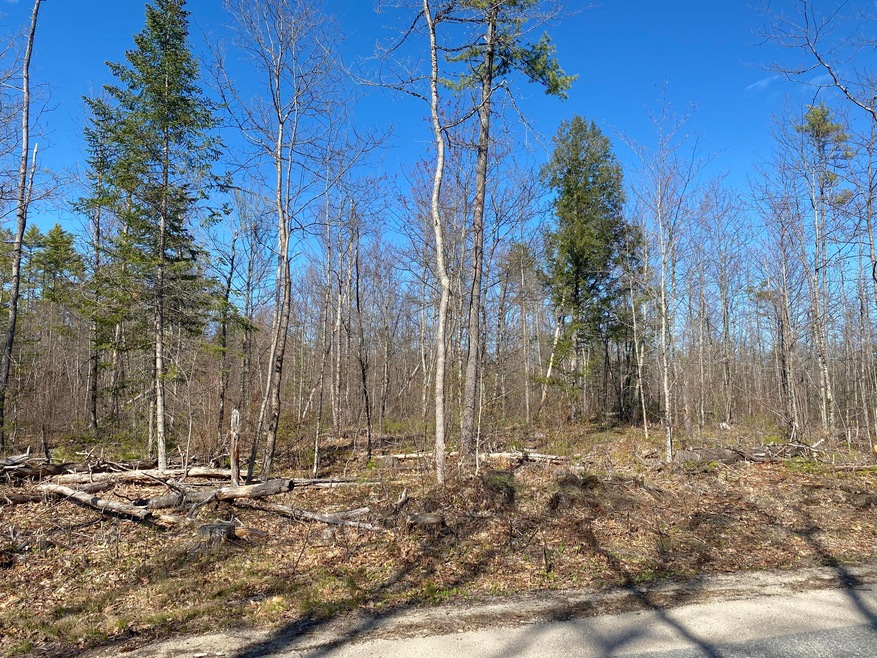 Lot 2 Sand Pond Rd, Baldwin, ME 04024 - photo 1